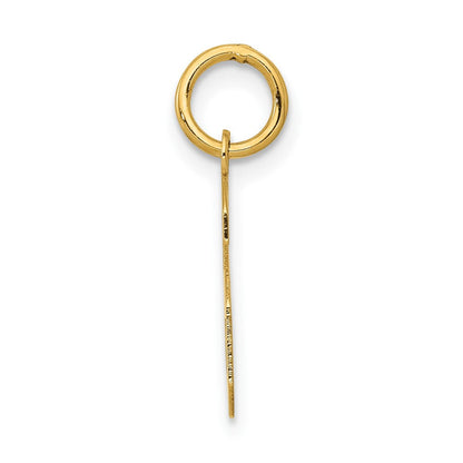 14K Gelbgold 14K Klein Poliert Zahl 6 Charm