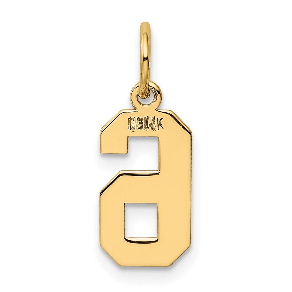 14K Gelbgold 14K Klein Poliert Zahl 6 Charm