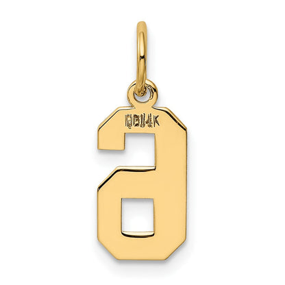 14K Gelbgold 14K Klein Poliert Zahl 6 Charm