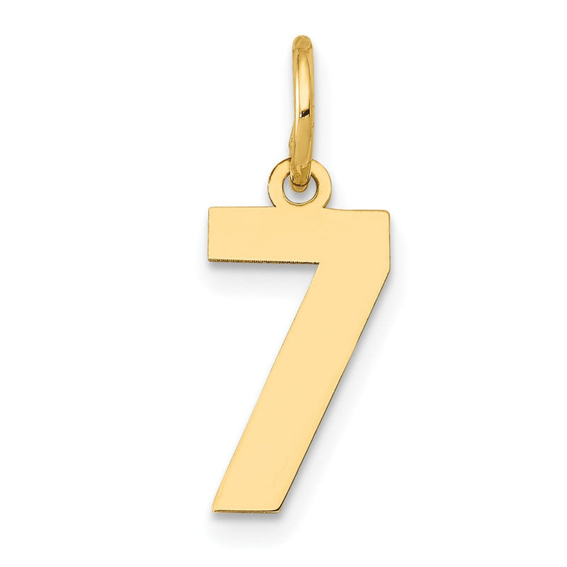 14K Gelbgold 14K Klein Poliert Zahl 7 Charm