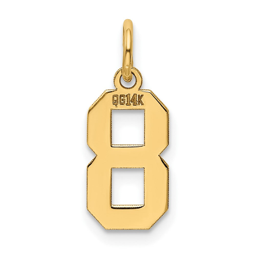 14K Gelbgold 14K Klein Poliert Zahl 8 Charm