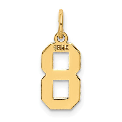 14K Gelbgold 14K Klein Poliert Zahl 8 Charm