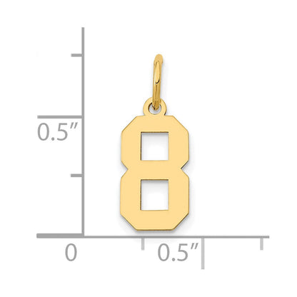 14K Gelbgold 14K Klein Poliert Zahl 8 Charm