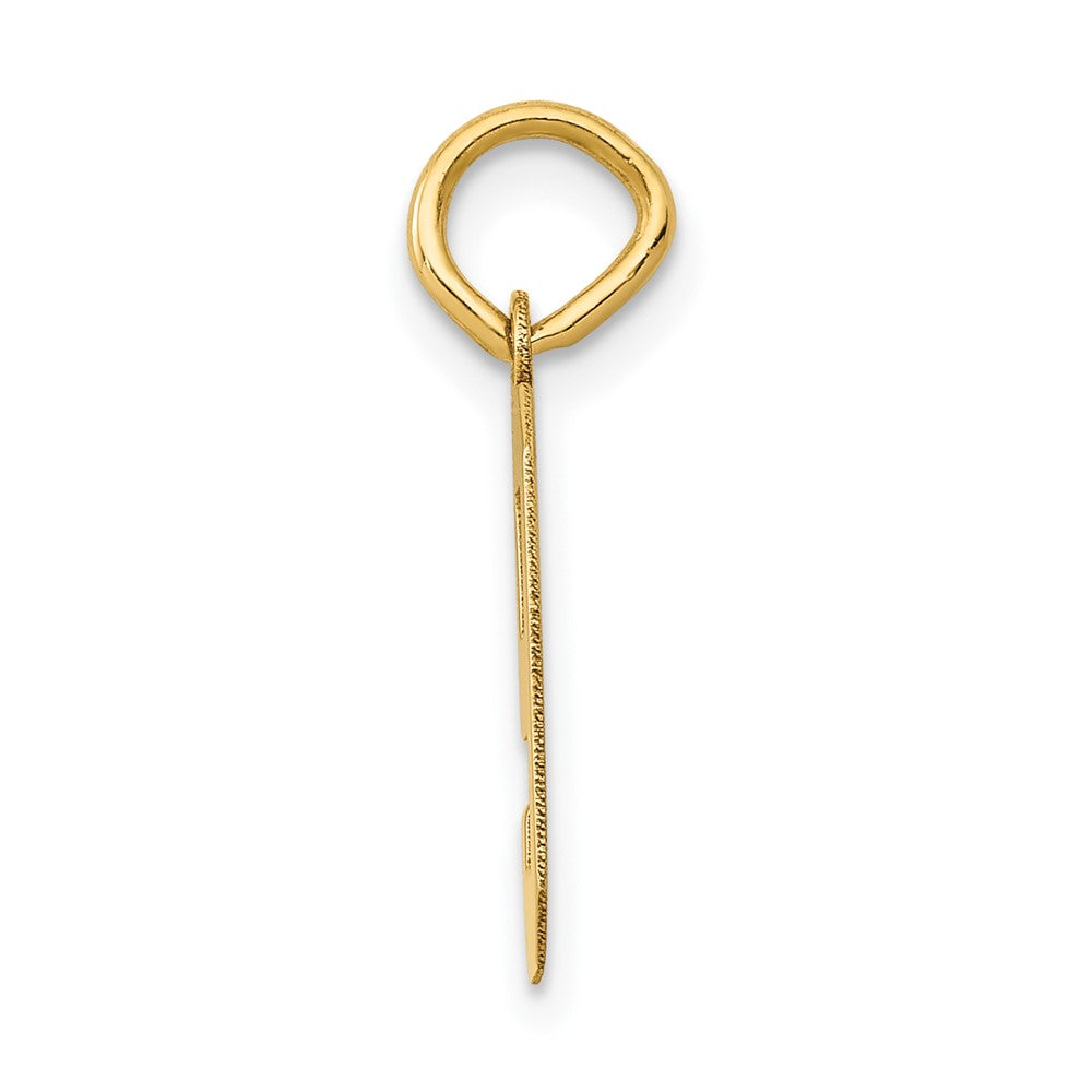 14K Gelbgold 14K Klein Poliert Zahl 9 Charm