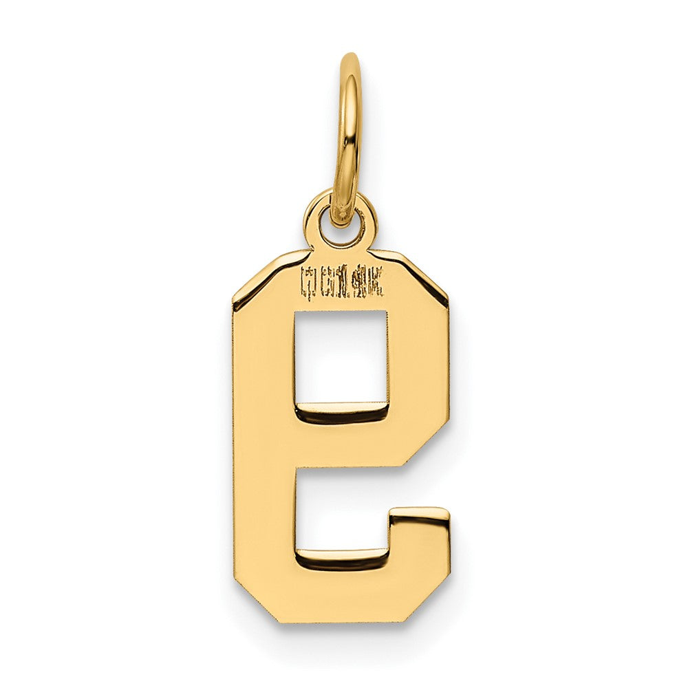 14K Gelbgold 14K Klein Poliert Zahl 9 Charm