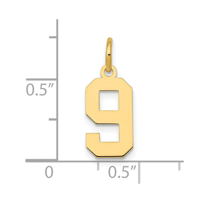 14K Gelbgold 14K Klein Poliert Zahl 9 Charm