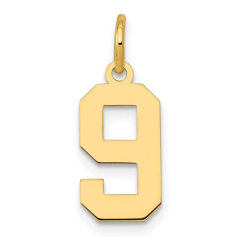 14K Gelbgold 14K Klein Poliert Zahl 9 Charm