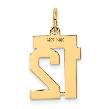 14K Gelbgold Kleiner Polierter Charm „Zahl 12“