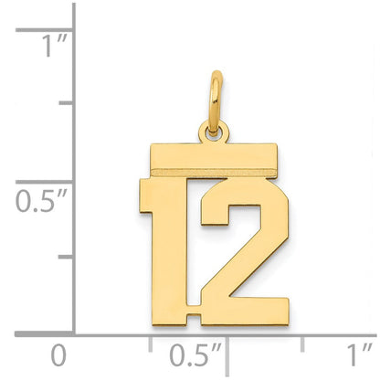 14K Gelbgold Kleiner Polierter Charm „Zahl 12“