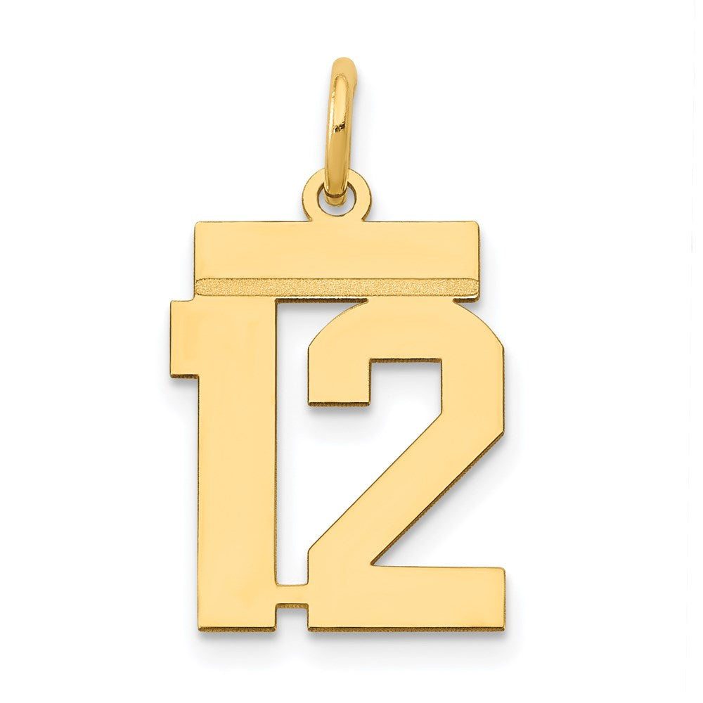 14K Gelbgold Kleiner Polierter Charm „Zahl 12“