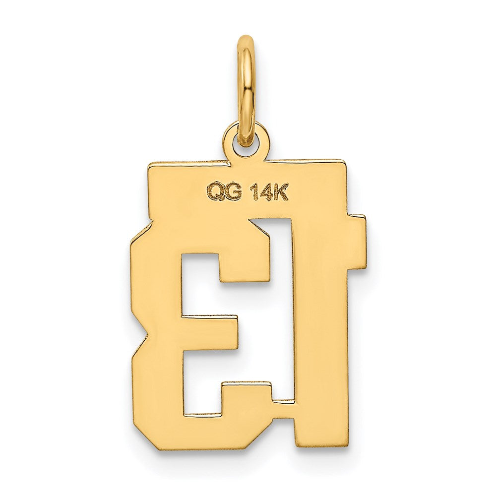 14K Gelbgold Kleiner Polierter Zahl-13-Charm