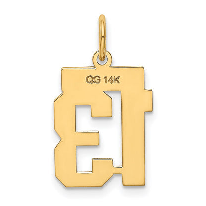 14K Gelbgold Kleiner Polierter Zahl-13-Charm