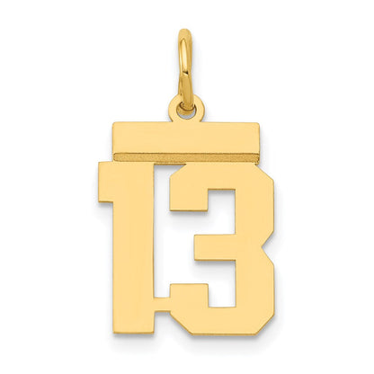 14K Gelbgold Kleiner Polierter Zahl-13-Charm