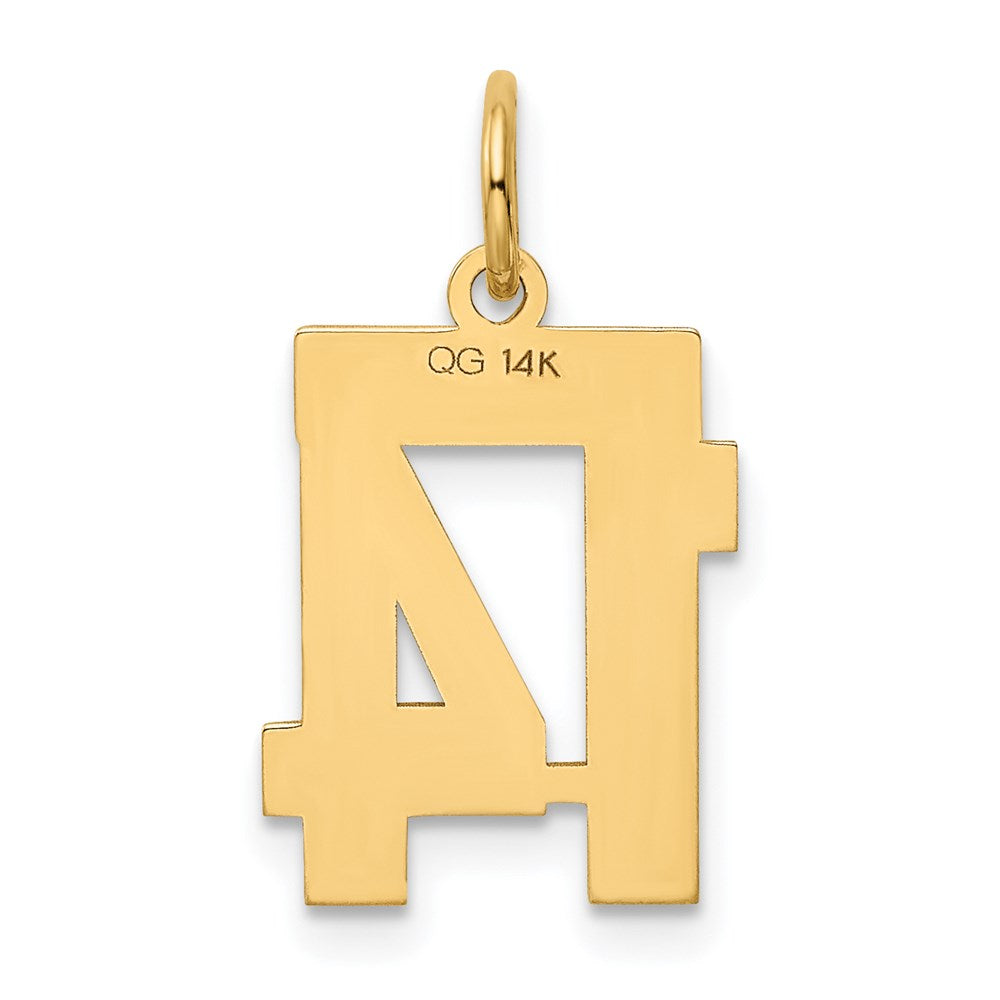 14K Gelbgold Kleiner Polierter Charm „Zahl 14