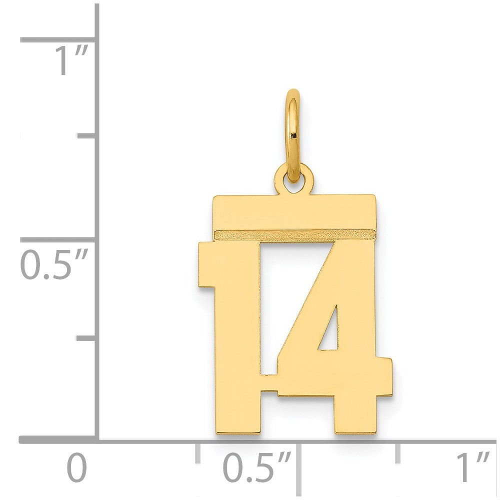 14K Gelbgold Kleiner Polierter Charm „Zahl 14