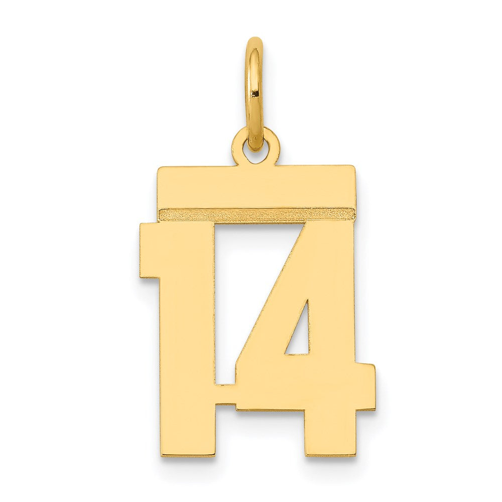 14K Gelbgold Kleiner Polierter Charm „Zahl 14