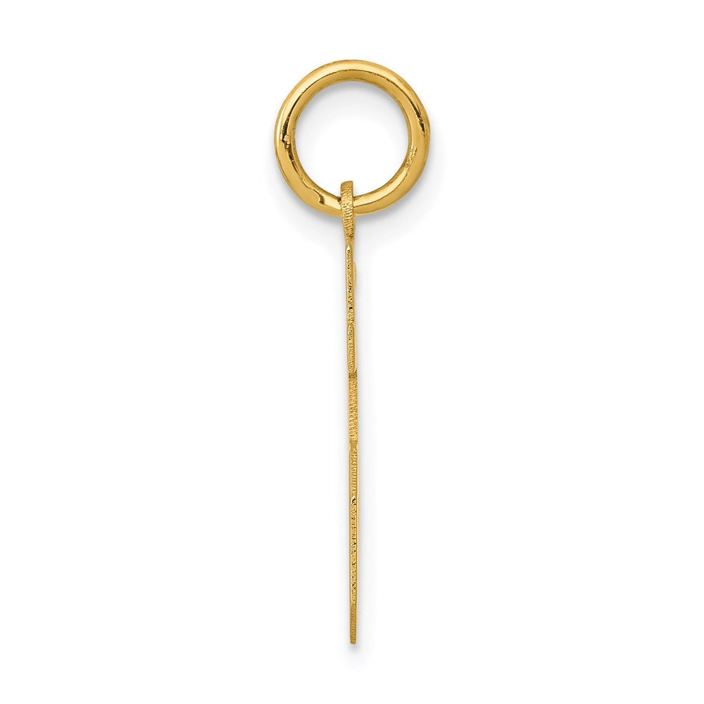 14K Gelbgold kleiner polierter Zahl-15-Charm
