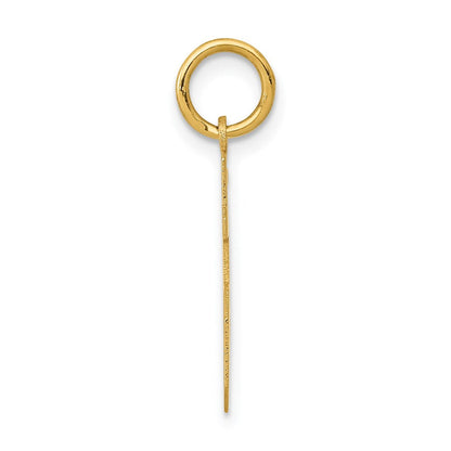 14K Gelbgold kleiner polierter Zahl-15-Charm