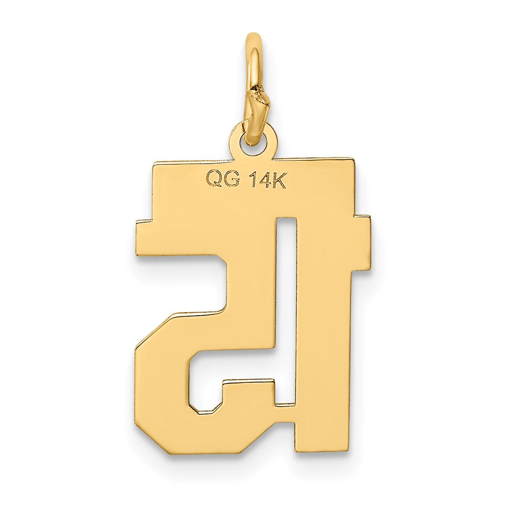 14K Gelbgold kleiner polierter Zahl-15-Charm