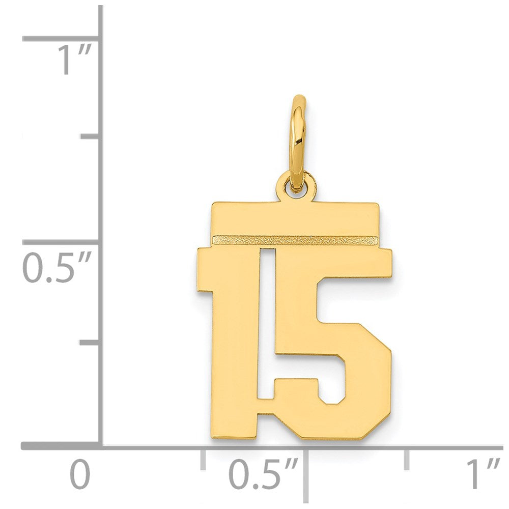 14K Gelbgold kleiner polierter Zahl-15-Charm