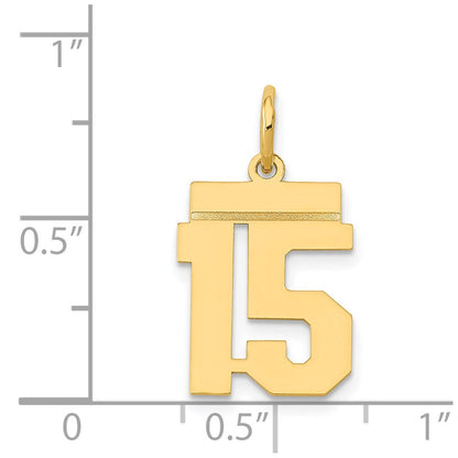 14K Gelbgold kleiner polierter Zahl-15-Charm