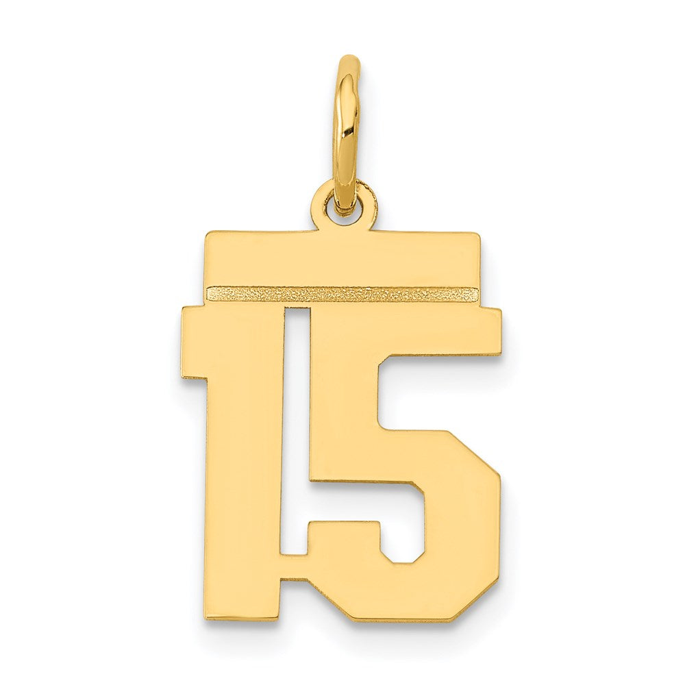 14K Gelbgold kleiner polierter Zahl-15-Charm
