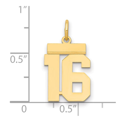 14K Gelbgold Kleiner Polierter Zahl-16-Charm