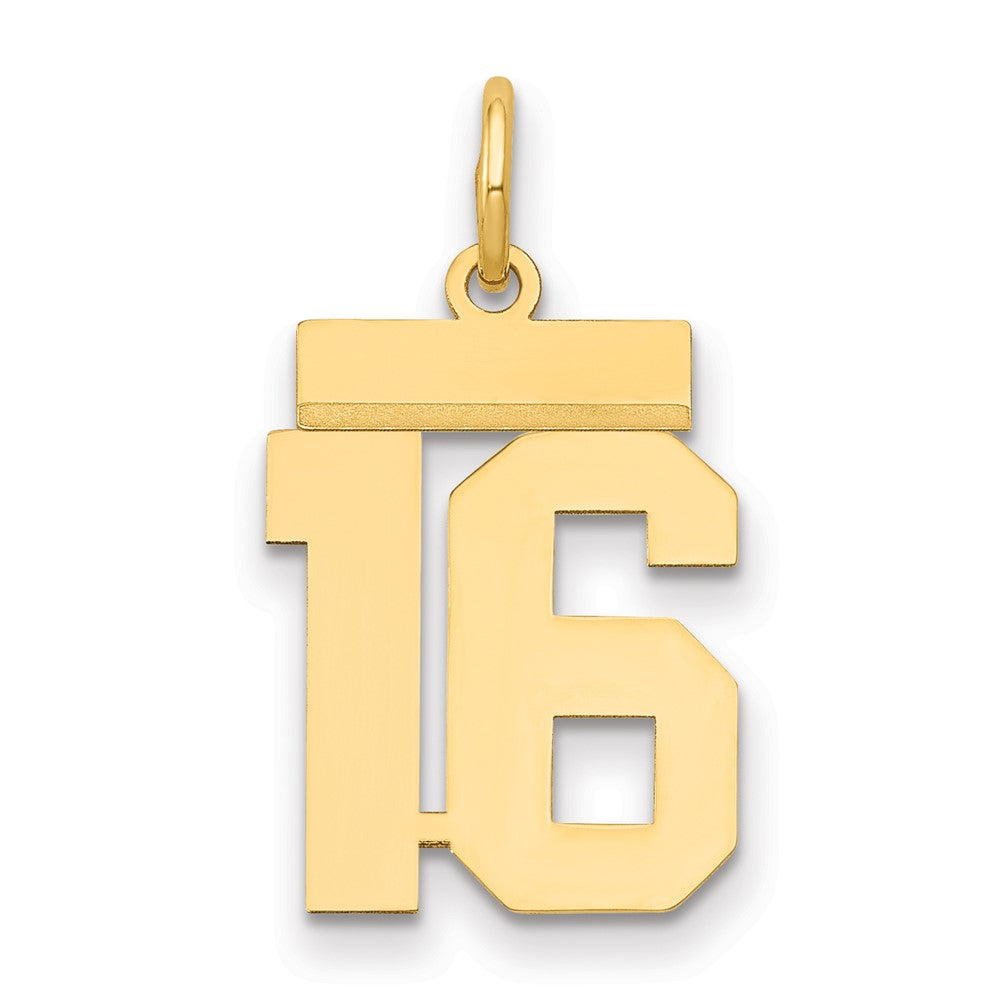14K Gelbgold Kleiner Polierter Zahl-16-Charm