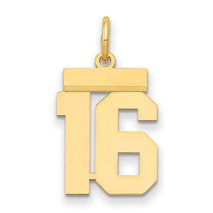 14K Gelbgold Kleiner Polierter Zahl-16-Charm