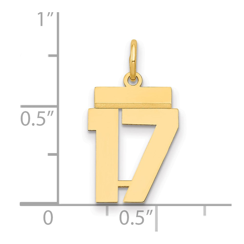 14K Gelbgold Klein Poliert Zahl 17 Charm