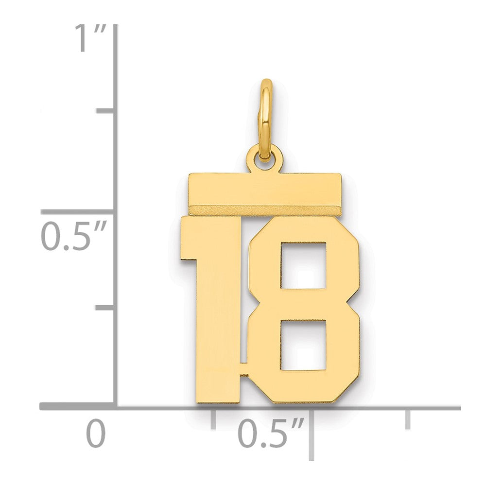 14K Gelbgold Kleiner Polierter Zahl-18-Charm
