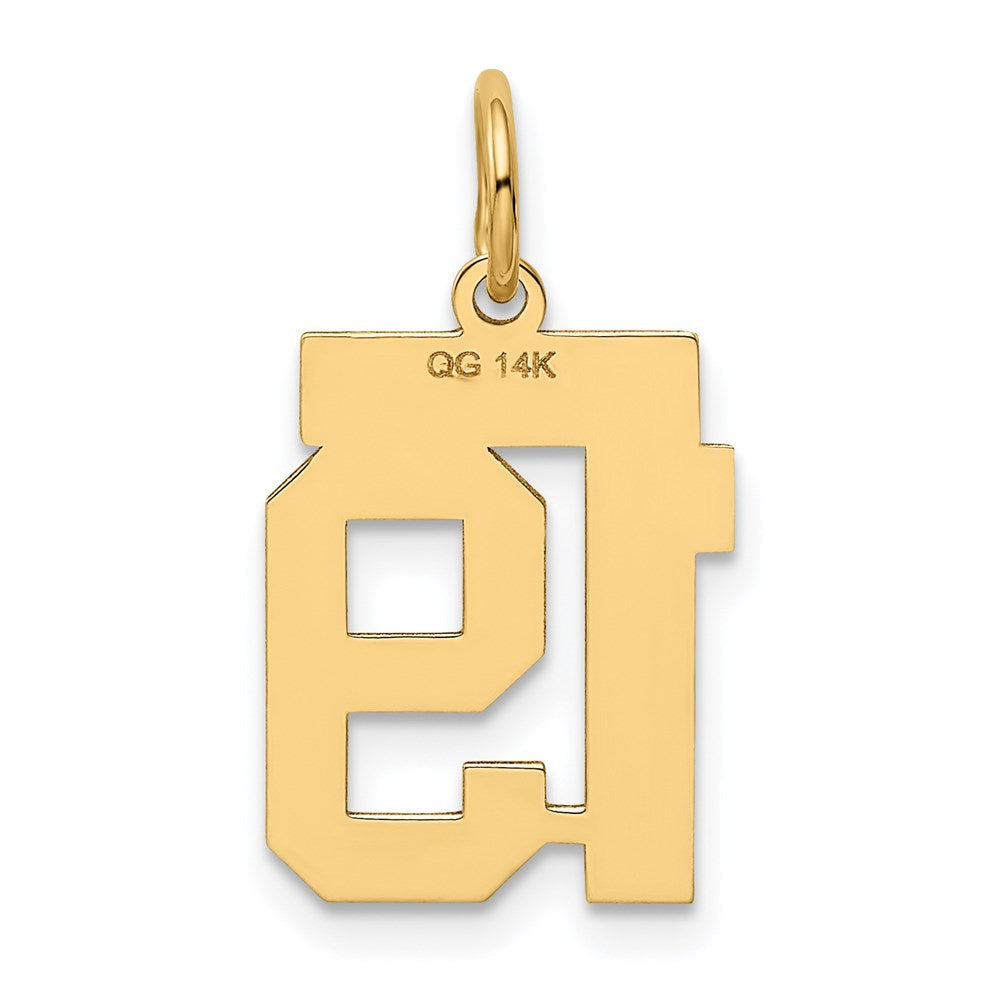 14K Gelbgold Kleiner Polierter Charm „Zahl 19“
