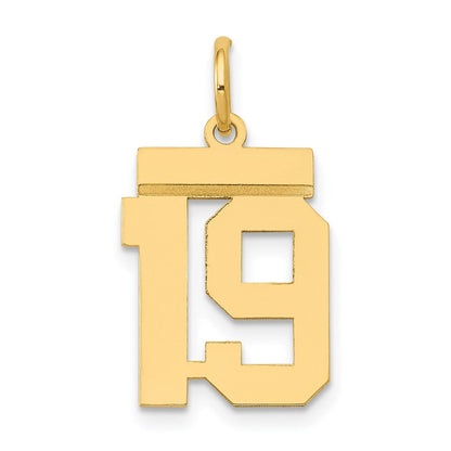 14K Gelbgold Kleiner Polierter Charm „Zahl 19“
