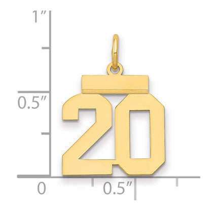 14K Gelbgold Kleiner Polierter Zahl-20-Charm