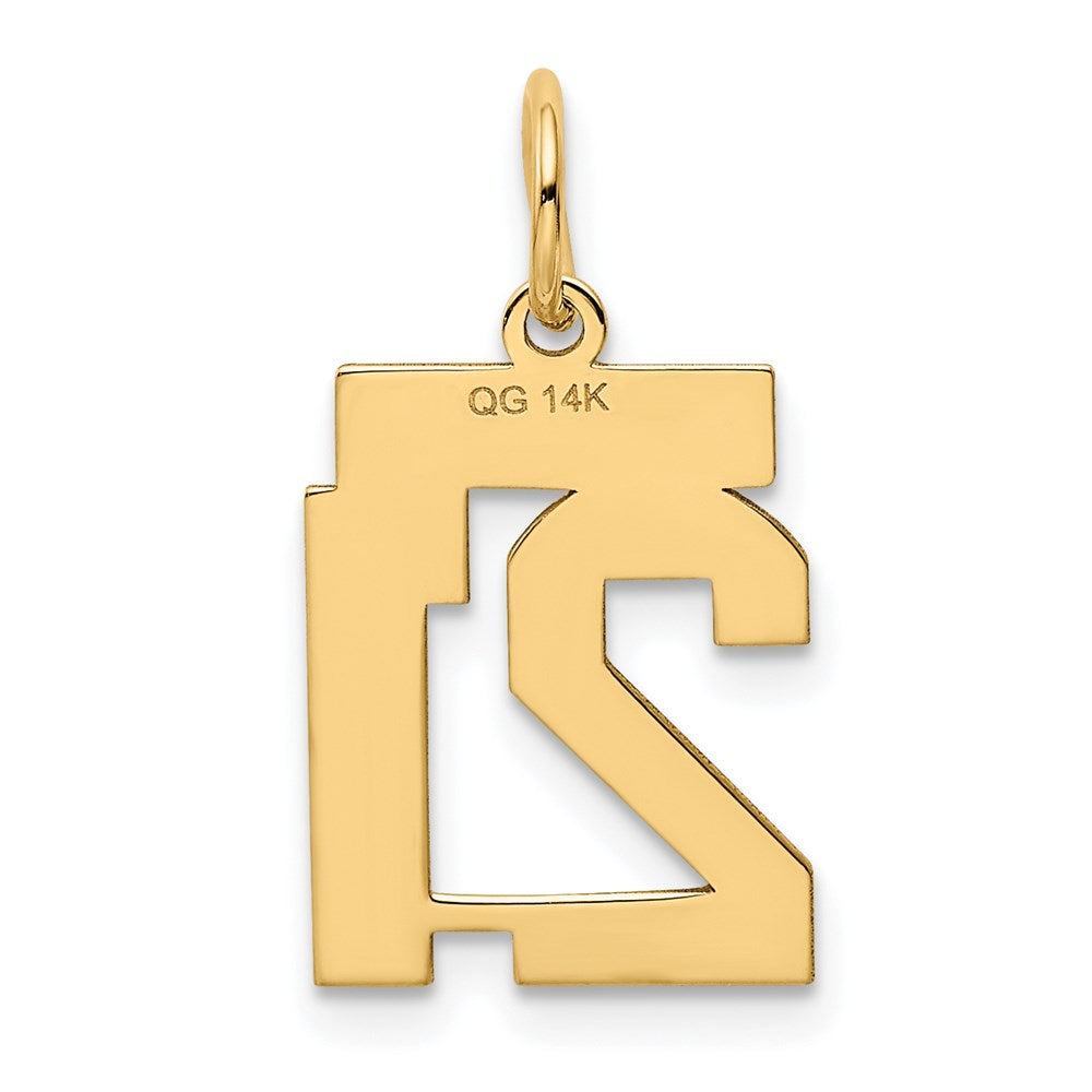 14K Gelbgold Kleiner Polierter Zahl-21-Charm