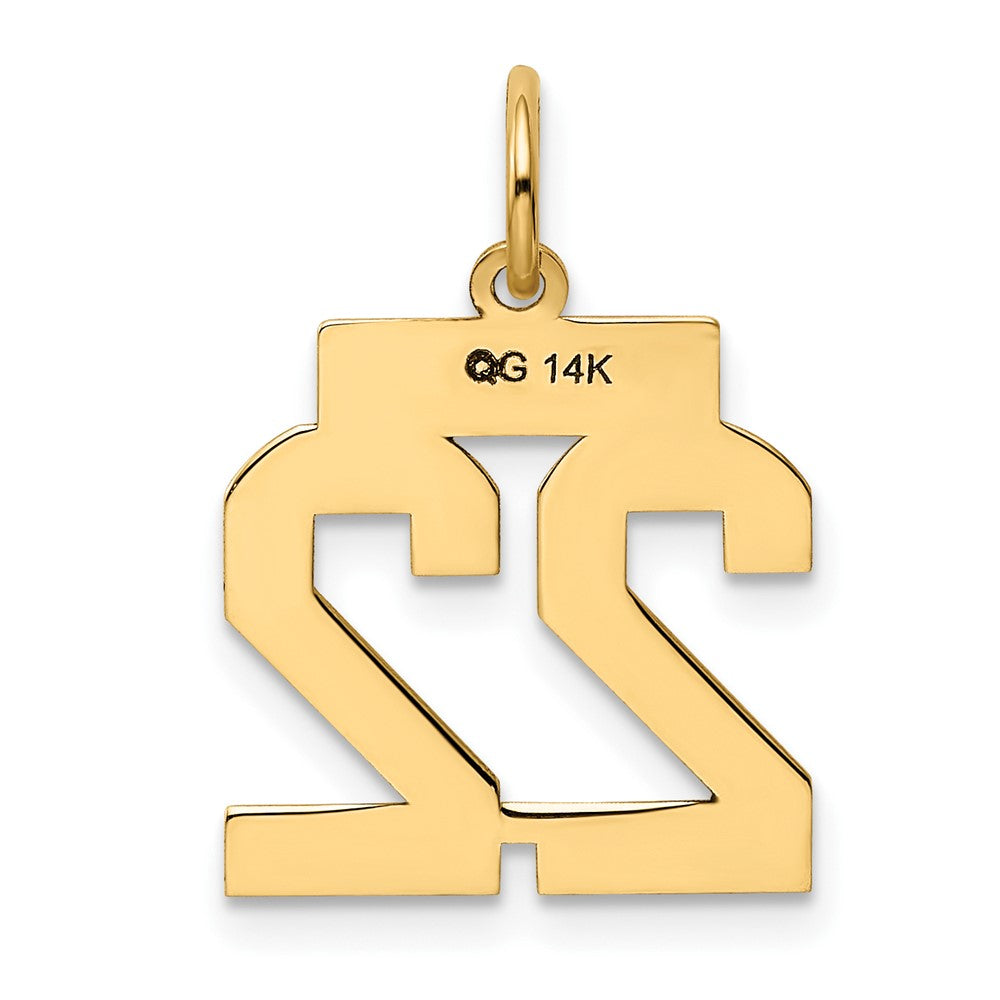 10K Gelbgold Klein Poliert Zahl 22 Charm