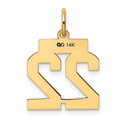 10K Gelbgold Klein Poliert Zahl 22 Charm