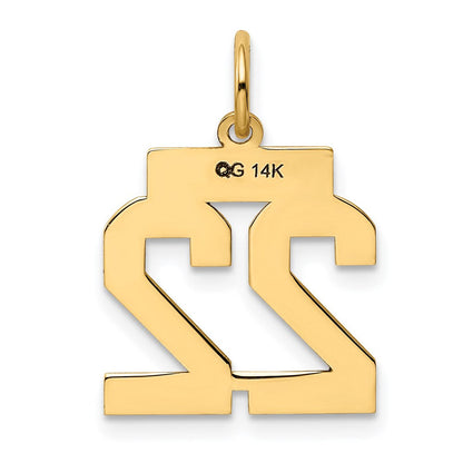 14K Gelbgold Kleiner Polierter Zahl-22-Charm