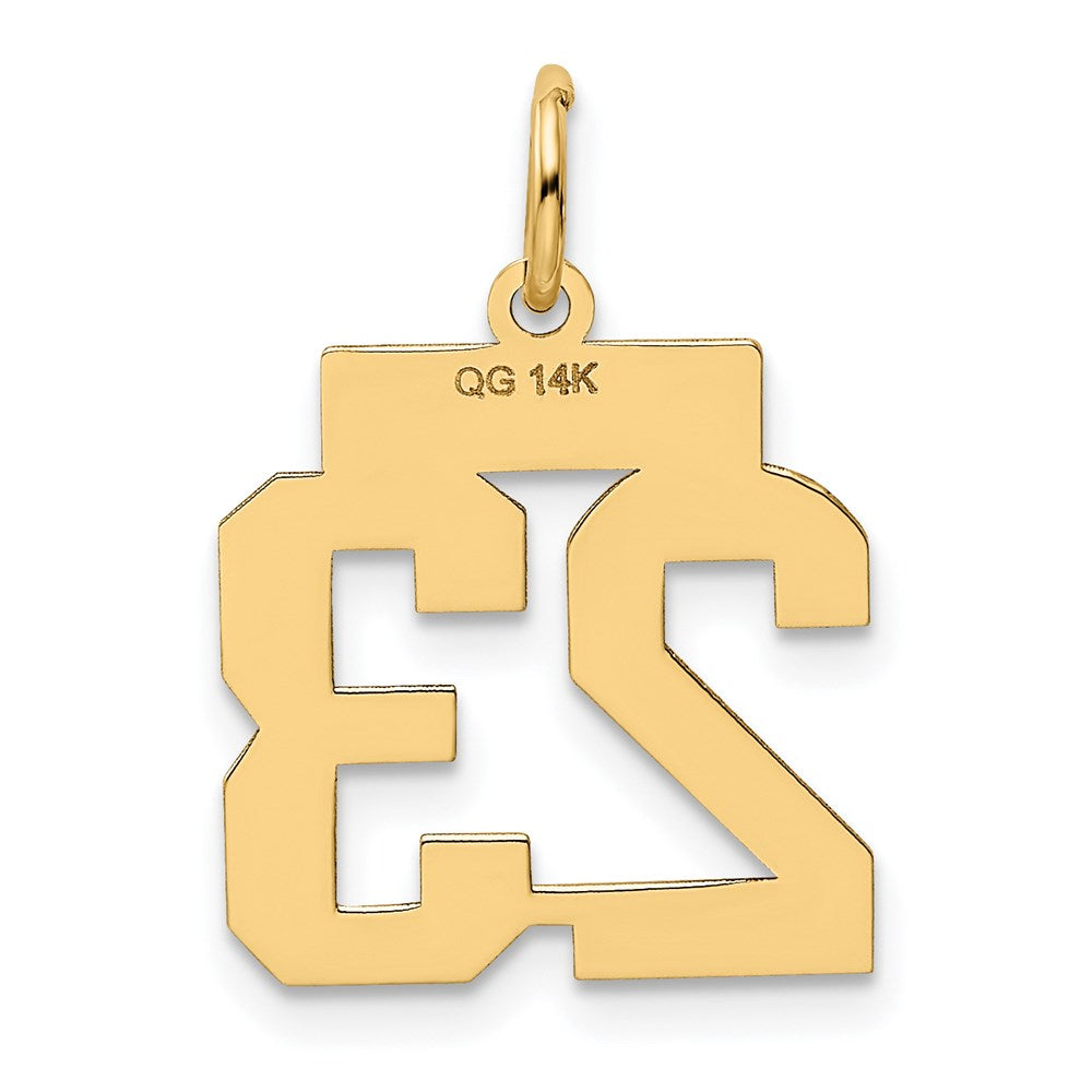 14K Gelbgold Kleiner Polierter Zahl-23-Charm