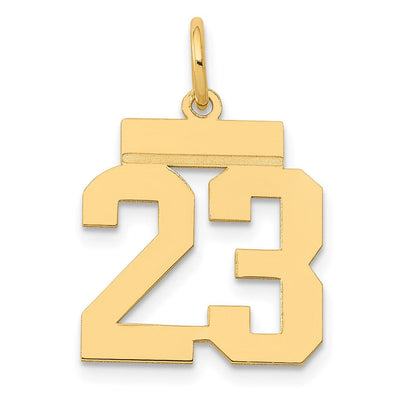 14K Gelbgold Kleiner Polierter Zahl-23-Charm