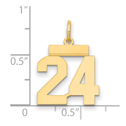 14K Gelbgold Kleiner Polierter Zahl-24-Charm
