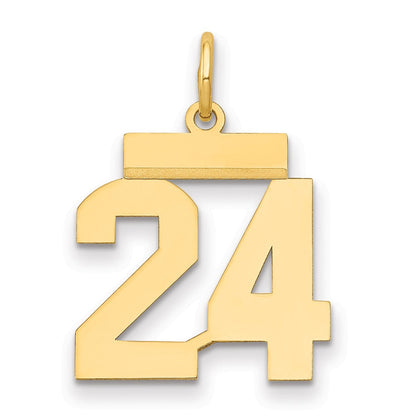 14K Gelbgold Kleiner Polierter Zahl-24-Charm