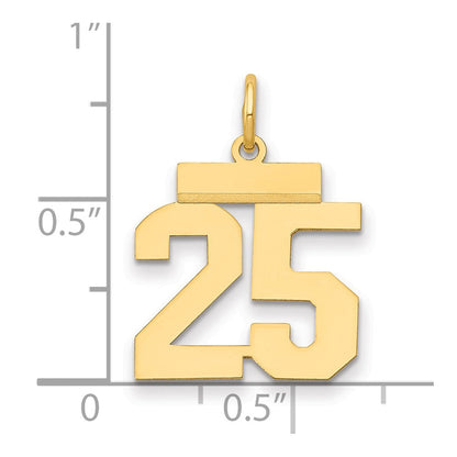 14K Gelbgold Kleiner Polierter Zahl-25-Charm