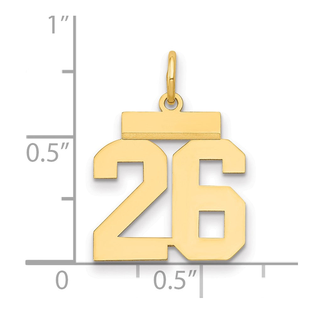 14K Gelbgold Kleiner Polierter Zahl-26-Charm