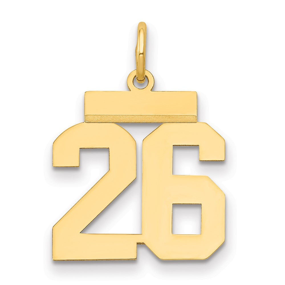 14K Gelbgold Kleiner Polierter Zahl-26-Charm