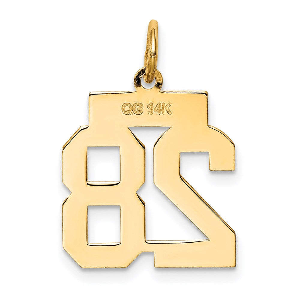 14K Gelbgold Kleiner Polierter Zahl-28-Charm