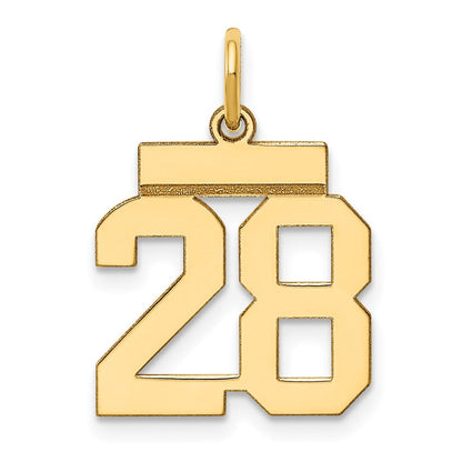 14K Gelbgold Kleiner Polierter Zahl-28-Charm