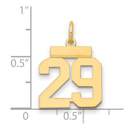 14K Gelbgold Kleiner Polierter Charm Zahl 29