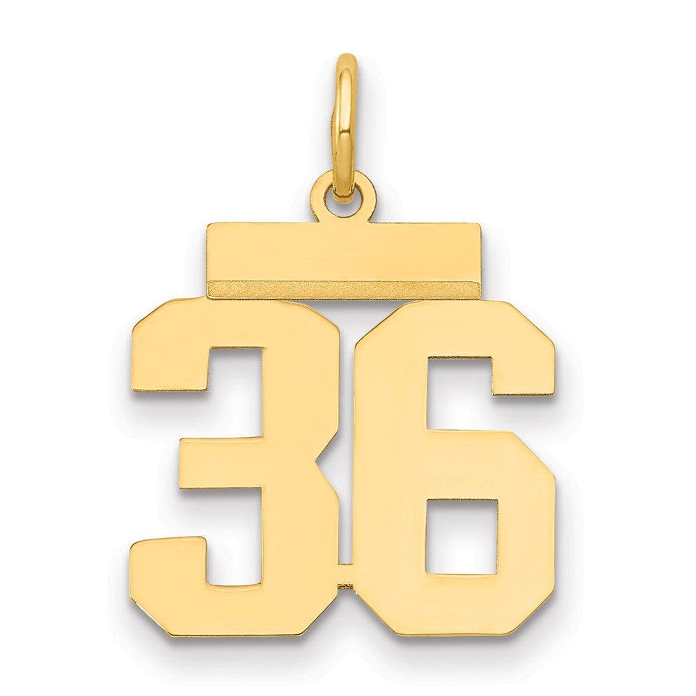 14K Gelbgold Kleiner Polierter Charm „Zahl 36“