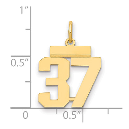14K Gelbgold Kleiner Polierter Charm Nummer 37